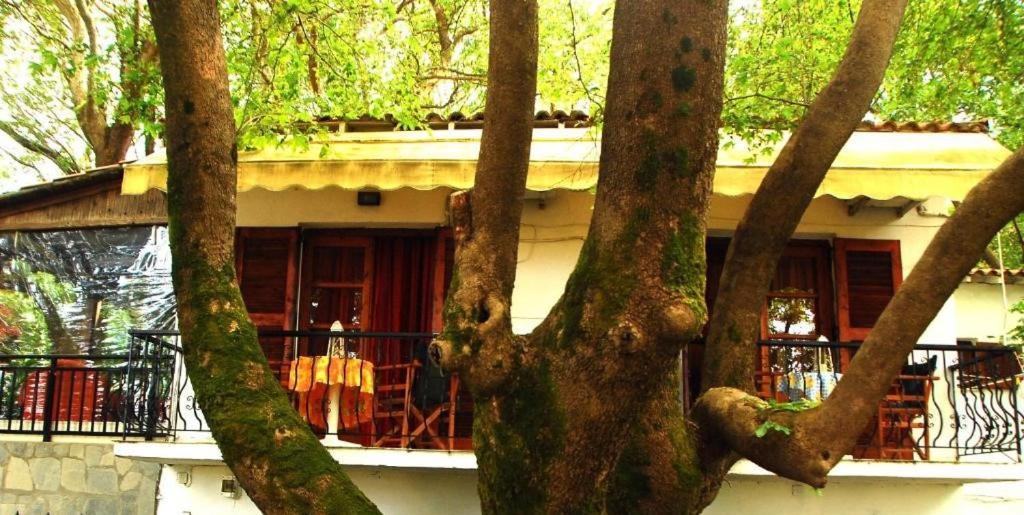 Parselia Rooms Therma  Exterior foto