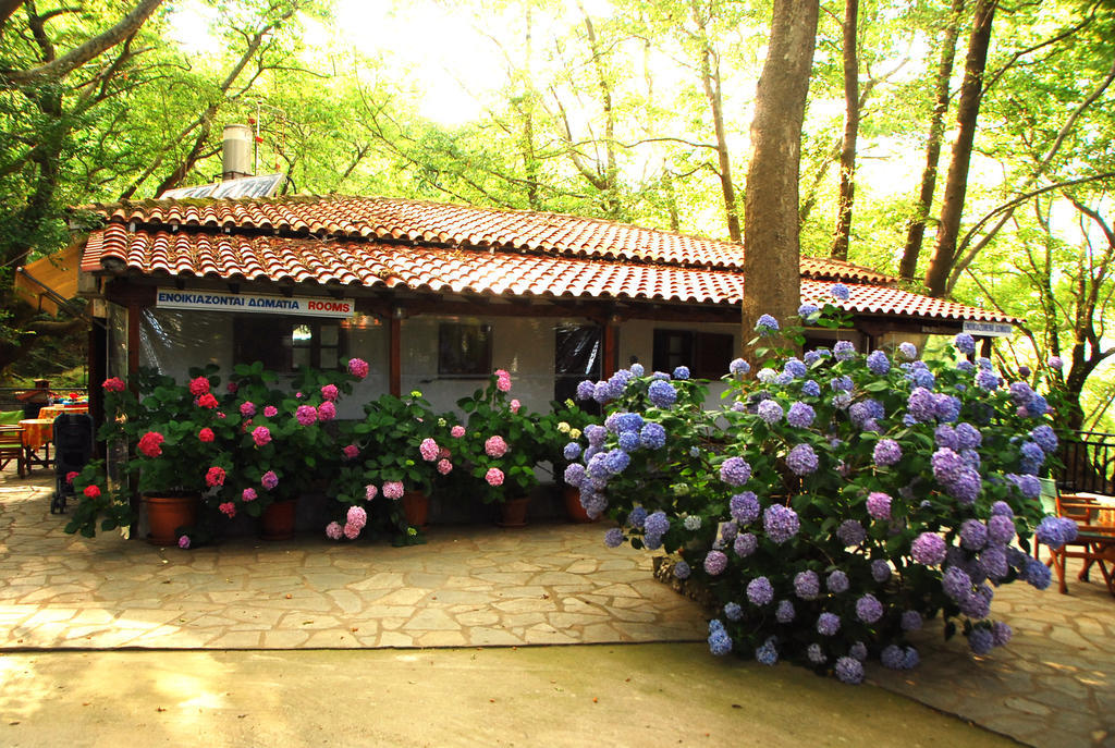 Parselia Rooms Therma  Quarto foto